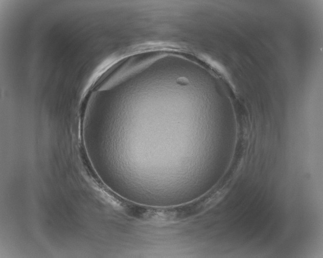 X0000081611365200701151354