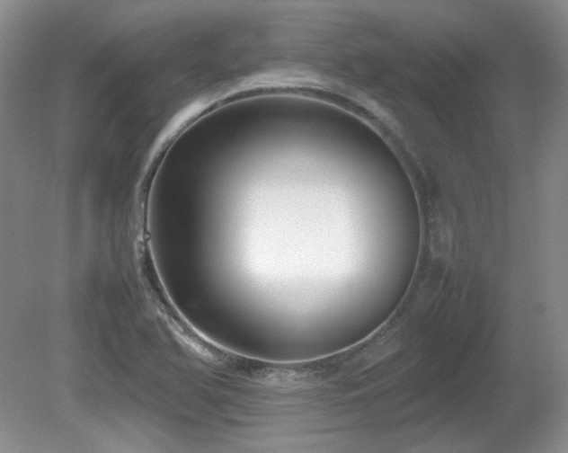 X0000081611366200701151354