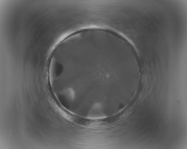 X0000081611367200701151354