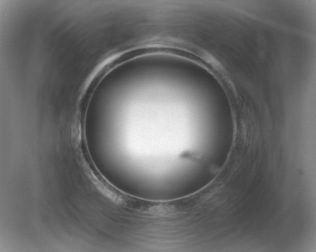 X0000081611368200701151354