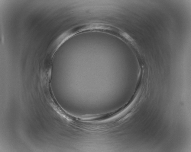 X0000081611369200701151354