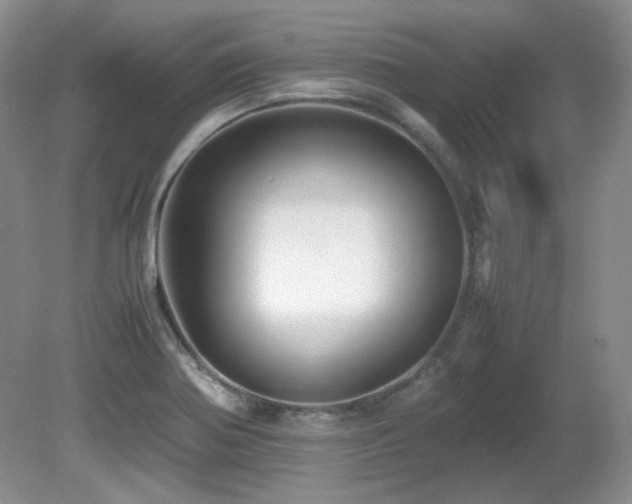 X0000081611370200701151354