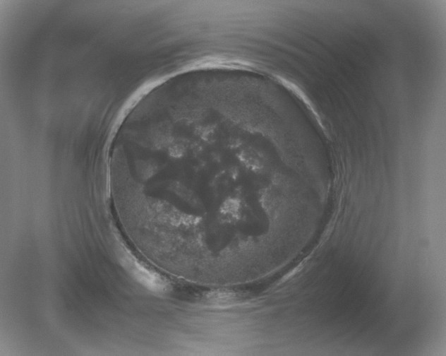 X0000081611371200701151354