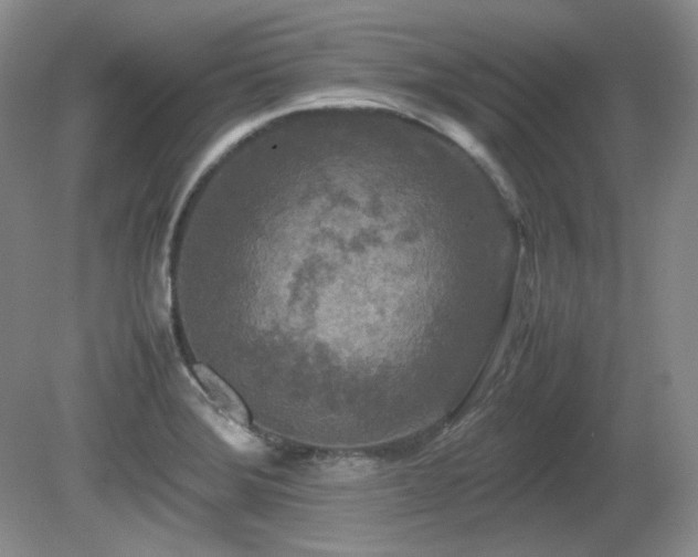 X0000081611372200701151354