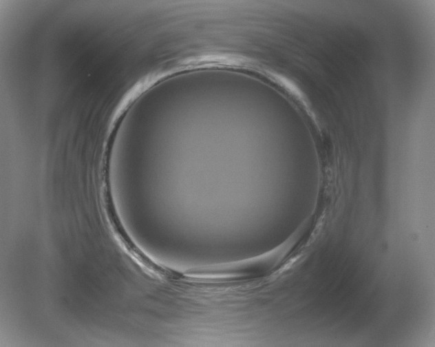 X0000081611373200701151354