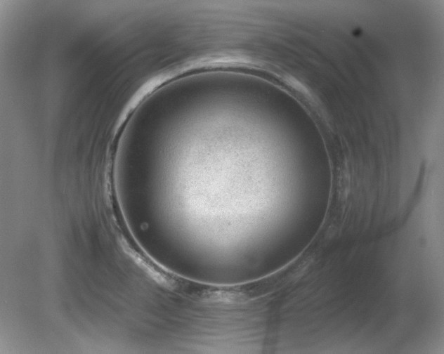 X0000081611374200701151354