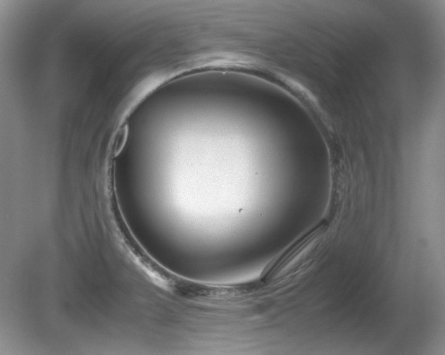 X0000081611375200701151354