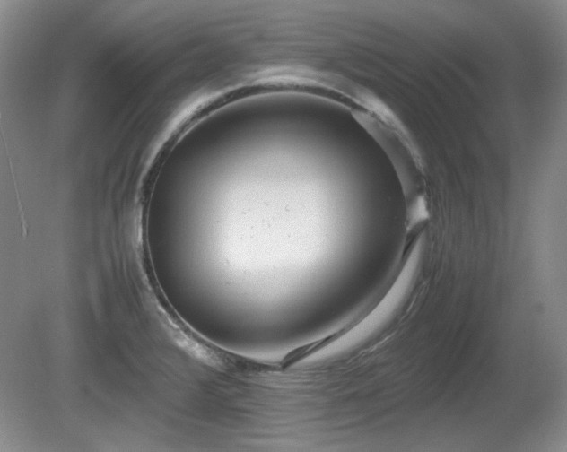 X0000081611376200701151354