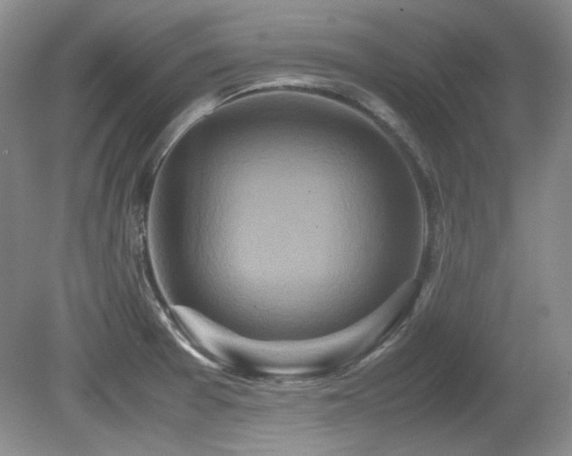 X0000081611377200701151354