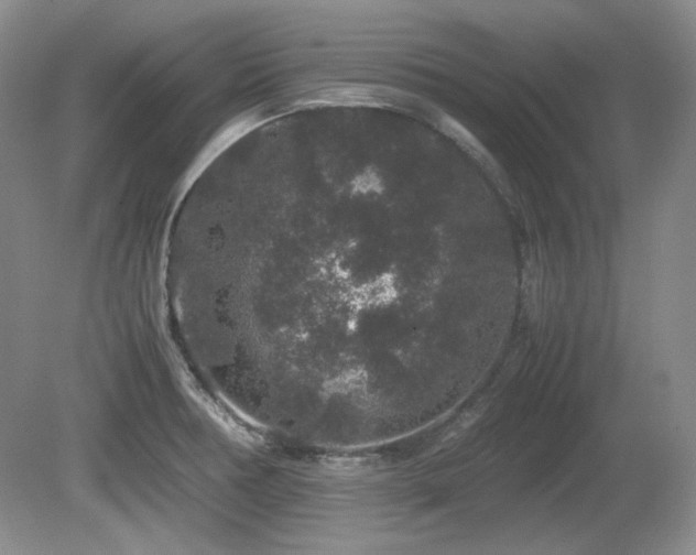 X0000081611378200701151354