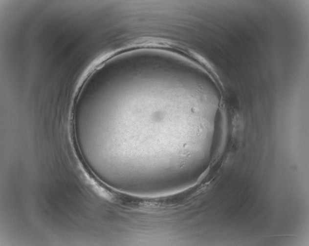 X0000081611379200701151354