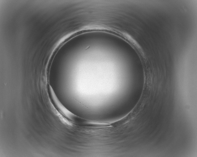 X0000081611380200701151354