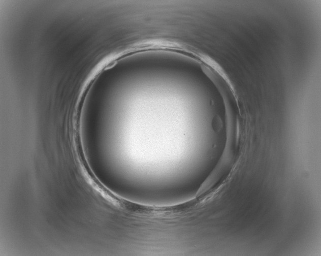 X0000081611381200701151354