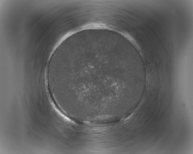 X0000081611382200701151354