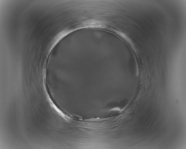 X0000081611383200701151354