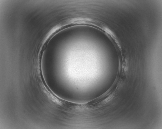 X0000081611384200701151354