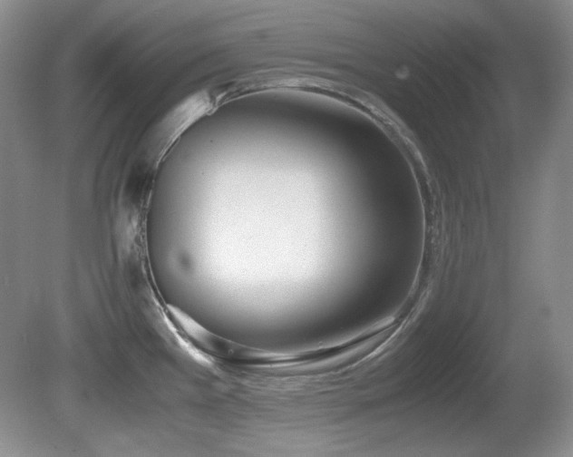 X0000081611385200701151354