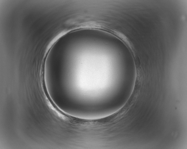 X0000081611387200701151354