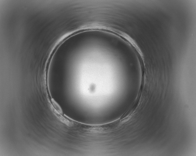 X0000081611388200701151354