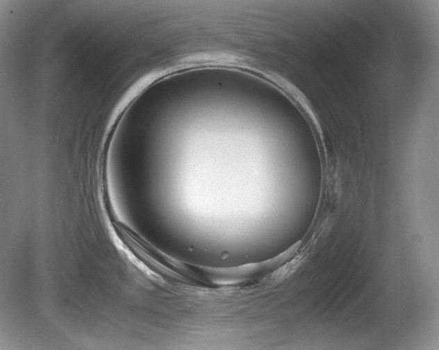 X0000081611389200701151354