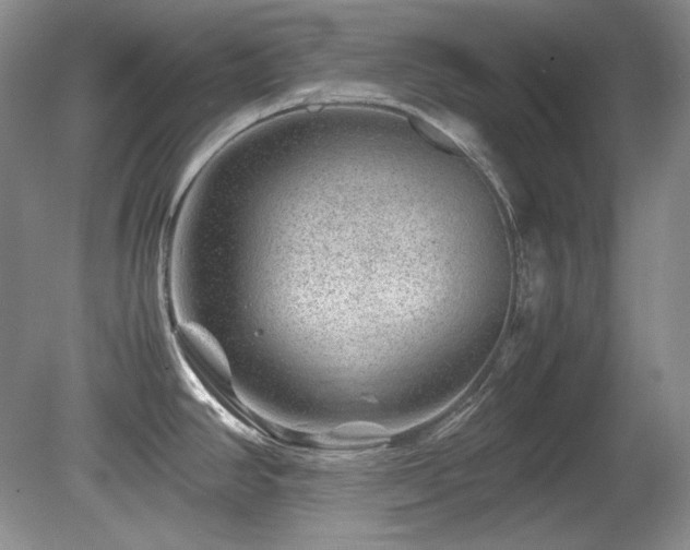 X0000081611390200701151354