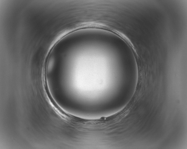 X0000081611391200701151354