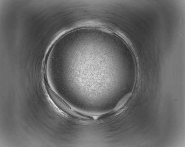 X0000081611392200701151354