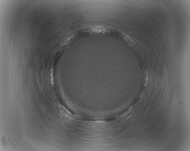 X0000081611394200701151353