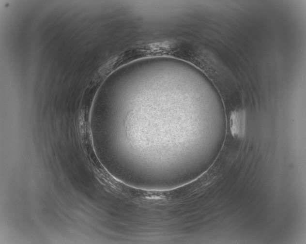 X0000081611395200701151353