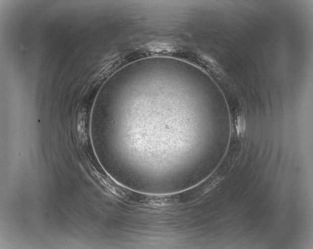 X0000081611396200701151353