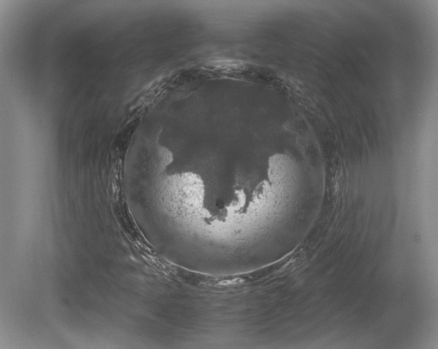 X0000081611397200701151353