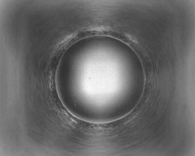 X0000081611398200701151353