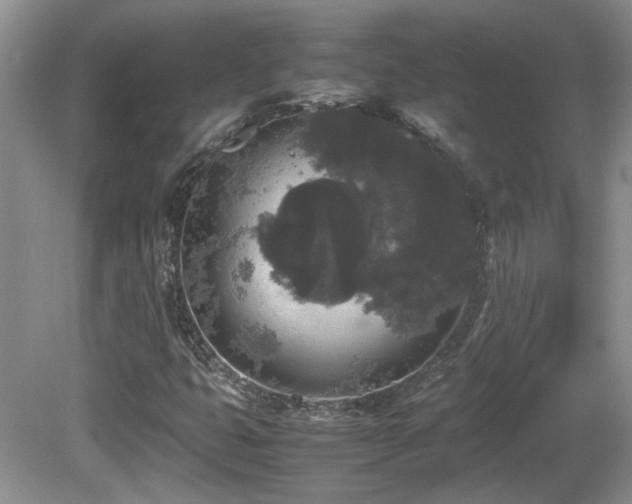 X0000081611399200701151353