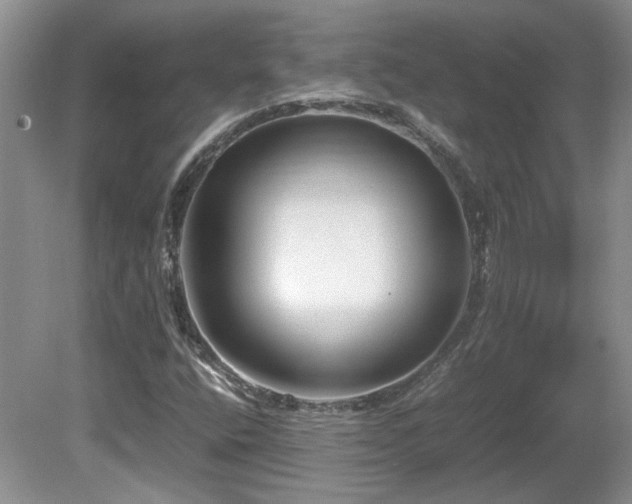 X0000081611400200701151353