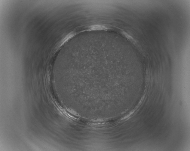 X0000081611401200701151353