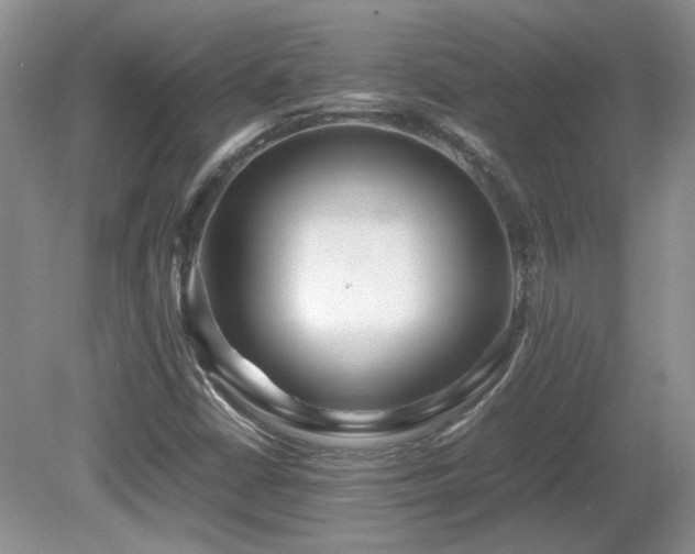 X0000081611402200701151353