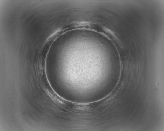 X0000081611403200701151353