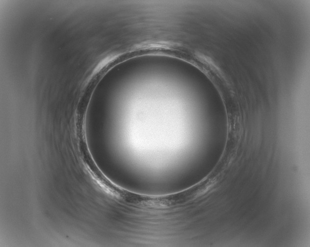 X0000081611404200701151353