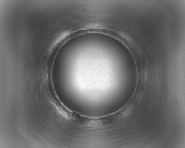 X0000081611406200701151353