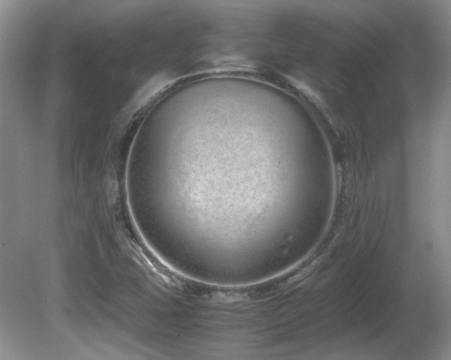 X0000081611407200701151353