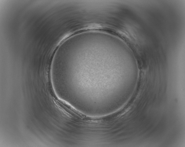 X0000081611409200701151353