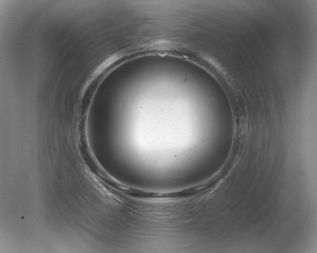 X0000081611410200701151353