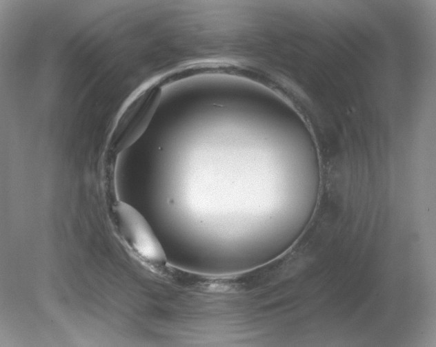 X0000081611412200701151353