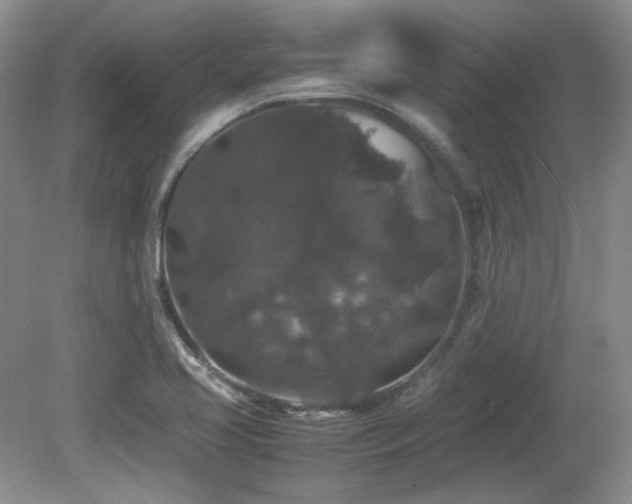 X0000081611413200701151353