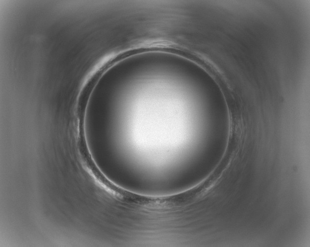 X0000081611414200701151353