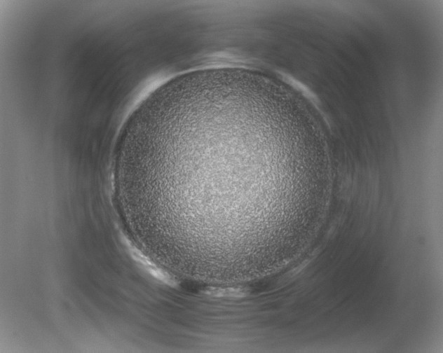 X0000081611415200701151353