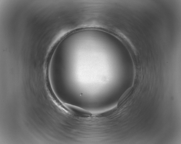 X0000081611416200701151353