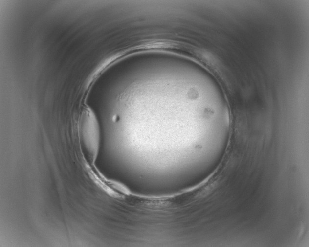 X0000081611417200701151353