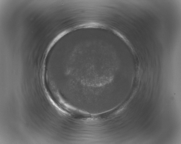 X0000081611418200701151353