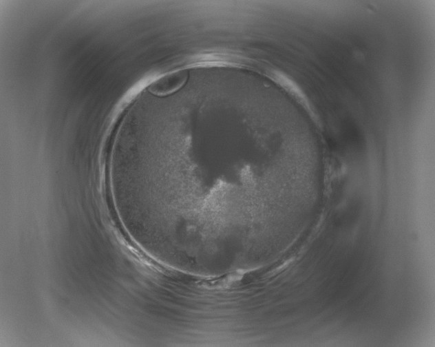 X0000081611419200701151353